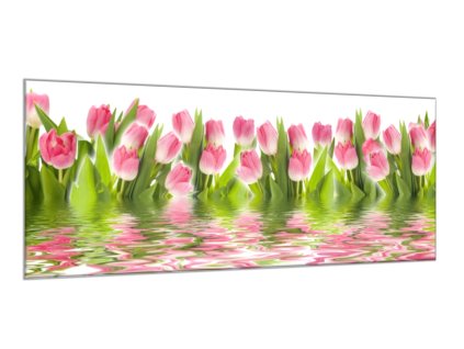 Obraz skleněný květy růžové tulipány v hladině vody (Rozměry-obdélník 90 x 120 cm)