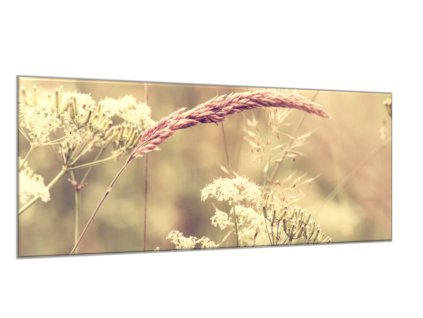 Obraz skleněný detail letní louka (Rozměry-obdélník 90 x 120 cm)