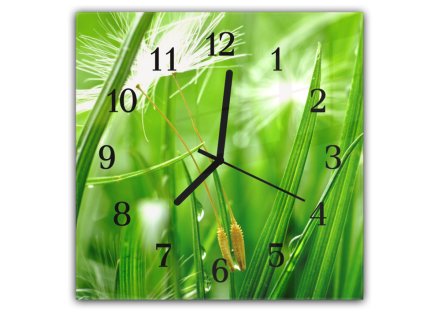 Nástěnné hodiny 30x30cm stvoly zelené trávy a chmýří odkvetlé pampelišky (Materiál kalené sklo)