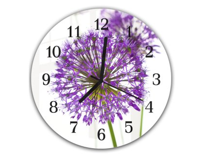 Nástěnné hodiny kulaté pr.30cm fialový květ allium (Materiál kalené sklo)