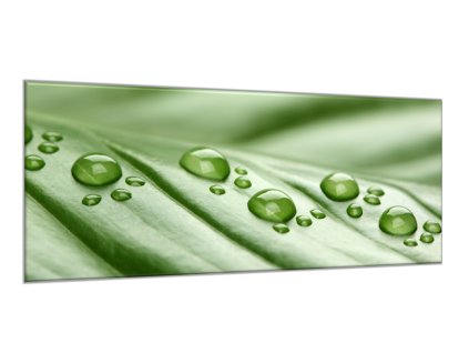 Obraz skleněný rosa na zeleném listu (Rozměry-obdélník 90 x 120 cm)