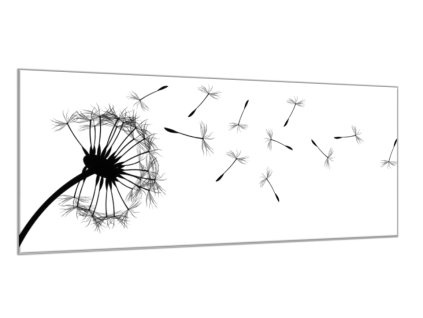 Obraz skleněný silueta odkvetlá pampeliška (Rozměry-obdélník 90 x 120 cm)