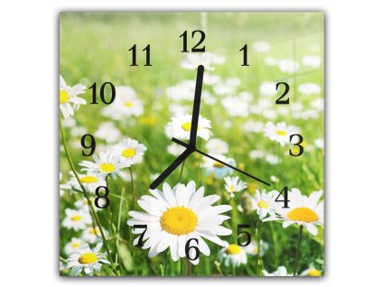 Nástěnné hodiny 30x30cm zelená louka a bílé kopretiny (Materiál kalené sklo)
