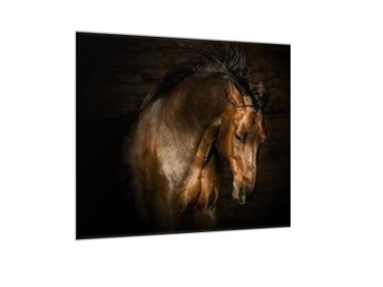 Obraz skleněný hnědý kůň s rozevlátou hřívou (Rozměry-čtverec 90 x 90 cm)