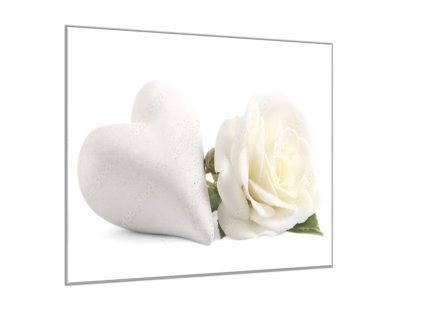 Obraz skleněný čtvercový květ bílé růže a srdce (Rozměry-čtverec 90 x 90 cm)