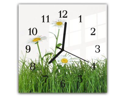 Nástěnné hodiny 30x30cm bílé květy kopretiny v trávě na bílém pozadí (Materiál kalené sklo)