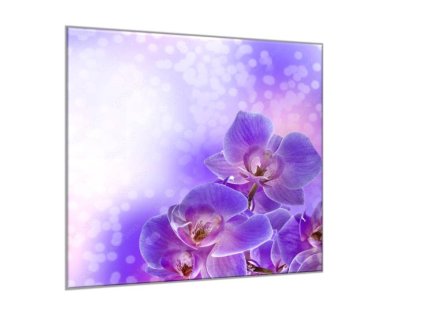 Obraz skleněný čtvercový květ fialové orchideje a fialový stín (Rozměry-čtverec 90 x 90 cm)