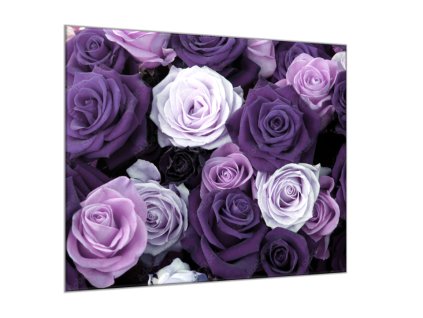 Obraz skleněný čtvercový detail květy fialových růží (Rozměry-čtverec 90 x 90 cm)