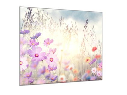 Obraz skleněný čtvercový malované růžové a červené luční kvítí (Rozměry-čtverec 90 x 90 cm)