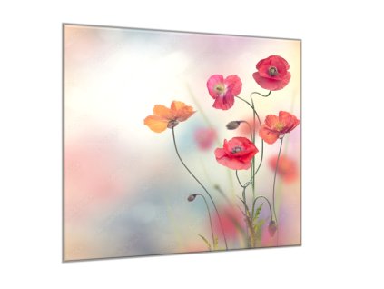 Obraz skleněný čtvercový malované květy vlčích máků (Rozměry-čtverec 90 x 90 cm)