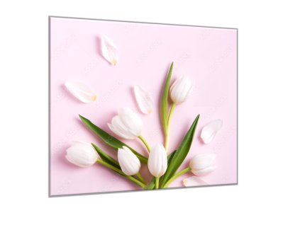 Obraz skleněný čtvercový květy bílých tulipánů na růžovém pozadí (Rozměry-čtverec 90 x 90 cm)