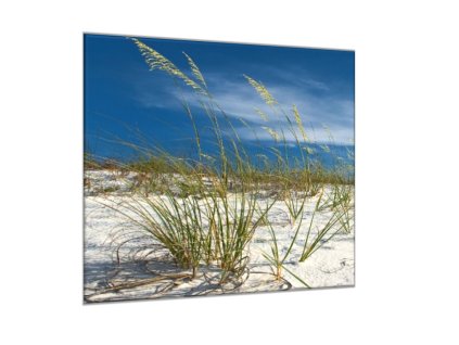 Obraz skleněný nebe a písečná duna s trávou (Rozměry-čtverec 90 x 90 cm)
