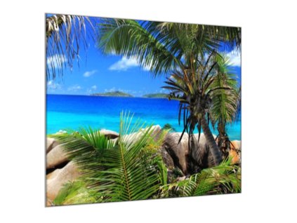 Obraz na stěnu pohled na moře a palmy (Rozměry-čtverec 90 x 90 cm)