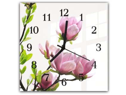 Nástěnné hodiny 30x30cm květy růžové magnolie a listí na bílém podkladu (Materiál kalené sklo)