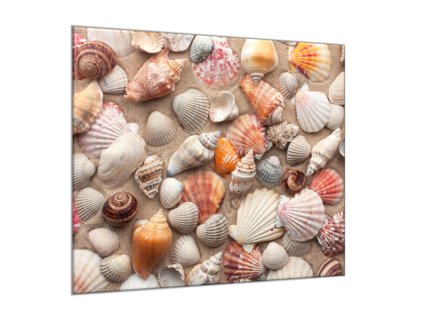 Obraz skleněný mušle na písečné pláži (Rozměry-čtverec 90 x 90 cm)