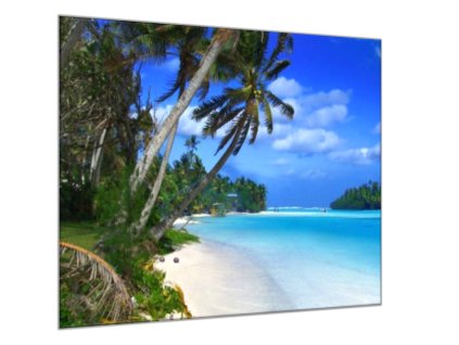 Obraz skleněný moře, palmy, pláž (Rozměry-čtverec 90 x 90 cm)