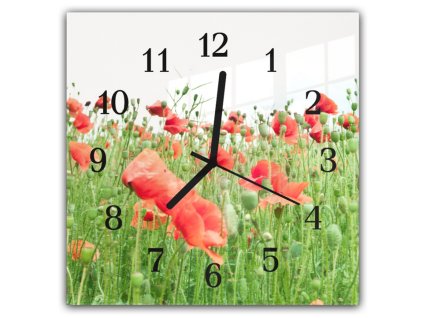 Nástěnné hodiny 30x30cm louka odkvétající vlčí máky (Materiál kalené sklo)