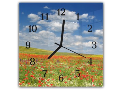 Nástěnné hodiny 30x30cm letní louka vlčích máků a heřmánku (Materiál kalené sklo)