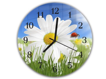 Nástěnné hodiny kulaté pr.30cm květ kopretiny s beruškou (Materiál kalené sklo)