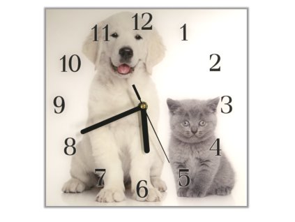 Nástěnné hodiny 30x30cm bílé stěně a šedé kotě (Materiál kalené sklo)