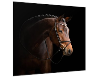 Obraz skleněný kůň hnědý (Rozměry-čtverec 90 x 90 cm)