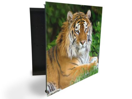 Glasdekor skříňka na klíče - tygr zlatý (Barva skříňky Černá, Otevírání Pravé)