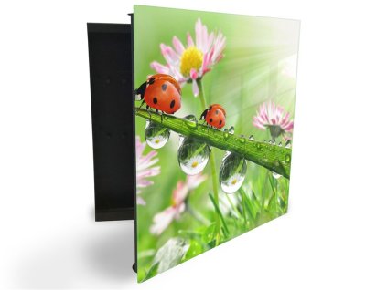 Glasdekor skříňka na klíče - berušky na trávě s rosou a květy (Barva skříňky Černá, Otevírání Pravé)