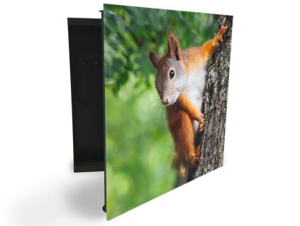 Glasdekor skříňka na klíče - veverka na stromě (Barva skříňky Černá, Otevírání Pravé)