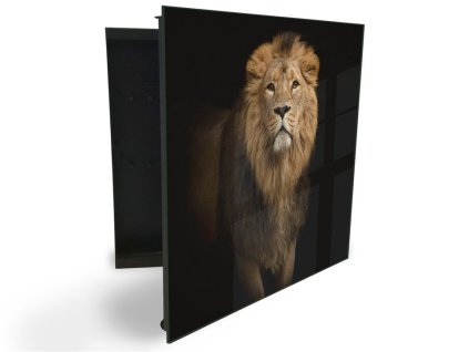 Glasdekor skříňka na klíče - lev na černém podkladu (Barva skříňky Černá, Otevírání Pravé)