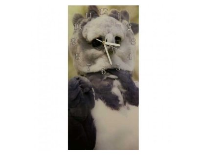 Nástěnné hodiny harpie lesní 30x60cm (Materiál kalené sklo)