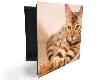 Glasdekor skříňka na klíče - ležící kočka (Barva skříňky Černá, Otevírání Pravé)