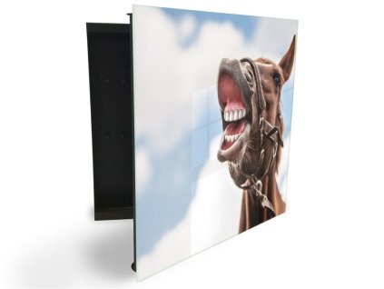 Glasdekor skříňka na klíče - vtipný kůň (Barva skříňky Černá, Otevírání Pravé)