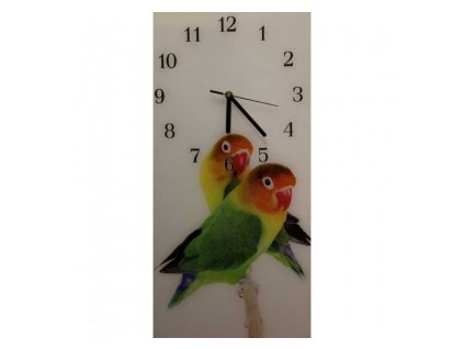 Nástěnné hodiny malý papoušek 30x60cm (Materiál kalené sklo)