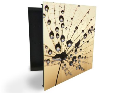 Glasdekor skříňka na klíče - orosená pampeliška na béžovém (Barva skříňky Černá, Otevírání Pravé)