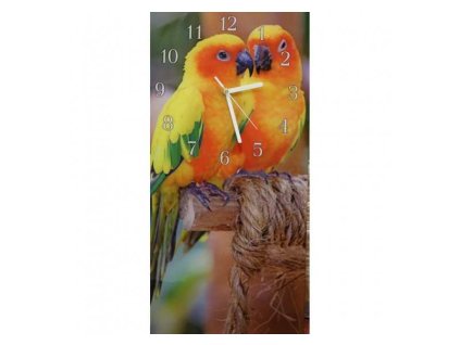Nástěnné hodiny papoušek aratinga 30x60cm (Materiál kalené sklo)