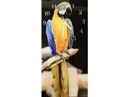 Nástěnné hodiny papoušek ara 30x60cm (Materiál kalené sklo)