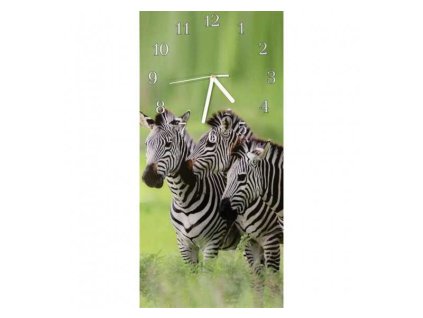Nástěnné hodiny zebra 30x60cm (Materiál kalené sklo)