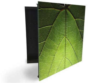 Glasdekor skříňka na klíče - detail zeleného listu (Barva skříňky Černá, Otevírání Pravé)