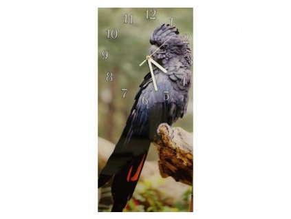 Nástěnné hodiny papoušek kakadu havraní 30x60cm (Materiál kalené sklo)