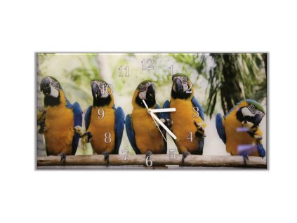Nástěnné hodiny 30x60cm papoušek ara ararauna (Materiál kalené sklo)