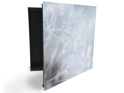 Glasdekor skříňka na klíče - šedé chmýří pampelišky (Barva skříňky Černá, Otevírání Pravé)