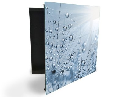 Glasdekor skříňka na klíče - orosený květ pampelišky (Barva skříňky Černá, Otevírání Pravé)