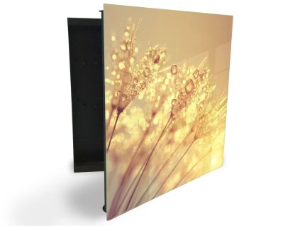 Glasdekor skříňka na klíče - pampeliška v západu slunce (Barva skříňky Černá, Otevírání Pravé)