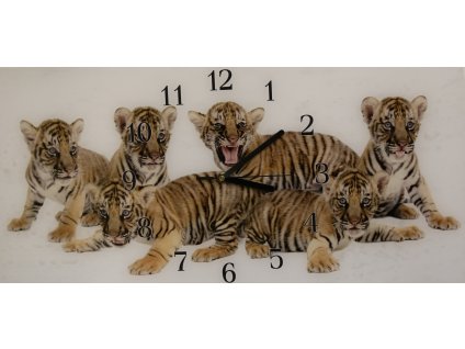 Nástěnné hodiny tygr mláďata 30x60cm (Materiál kalené sklo)
