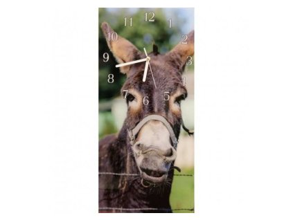 Nástěnné hodiny osel 30x60cm (Materiál kalené sklo)