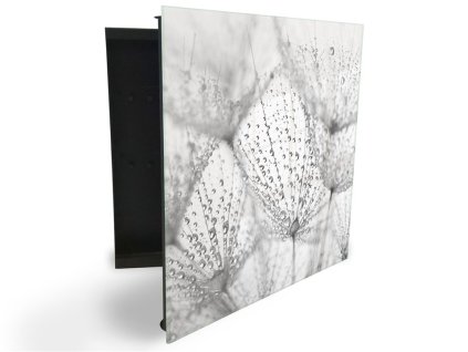 Glasdekor skříňka na klíče - odkvetlá pampeliška s rosou (Barva skříňky Černá, Otevírání Pravé)