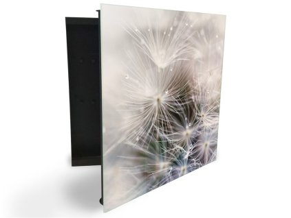 Glasdekor skříňka na klíče - abstraktní odkvetlá pampeliška (Barva skříňky Černá, Otevírání Pravé)