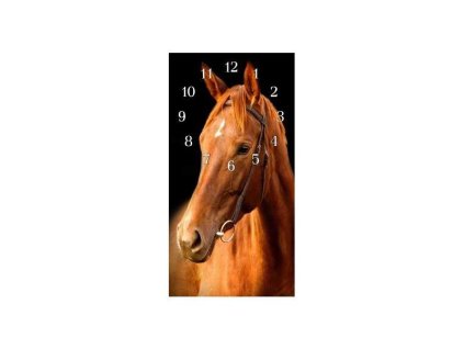 Nástěnné hodiny kůň 30x60cm (Materiál kalené sklo)