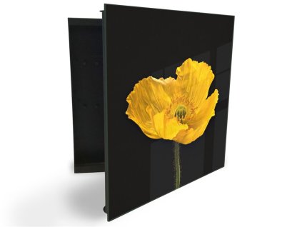 Glasdekor skříňka na klíče - květ žlutý tulipán (Barva skříňky Černá, Otevírání Pravé)