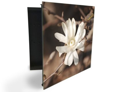 Glasdekor skříňka na klíče - květ bílé magnolie na hnědém pozadí (Barva skříňky Černá, Otevírání Pravé)